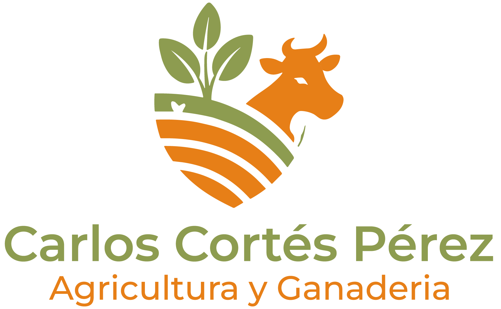 wplogo logo